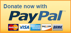 paypal-button1
